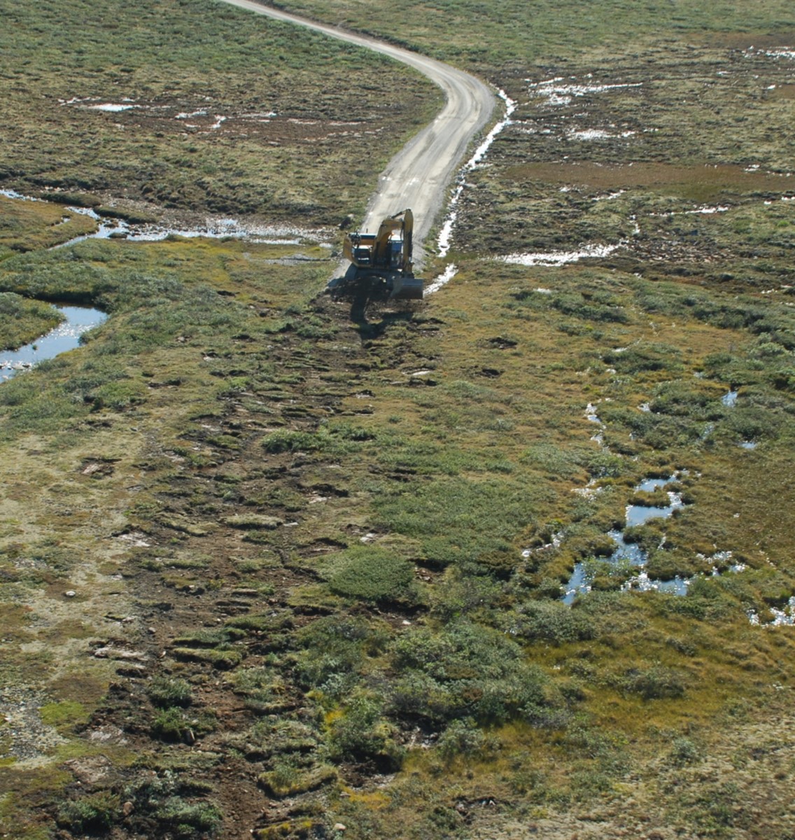 Restaureringsøkologi_Hjerkin