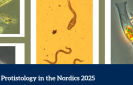 Banner for "Protistology in the Nordics" showing microscopic images of protists